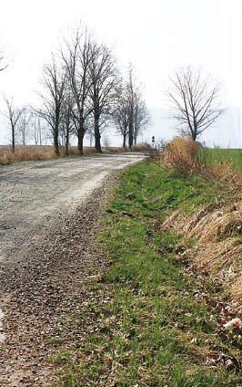 Blokada drogi na granicę - Zdjęcie główne