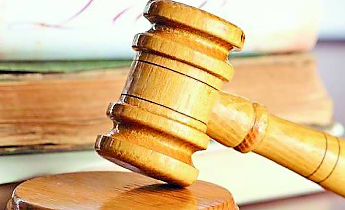 Był oskarżany o maltretowanie psa. Teraz wygrał w sądzie. - Zdjęcie główne