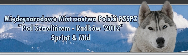 Wyścigi psich zaprzęgów - Zdjęcie główne