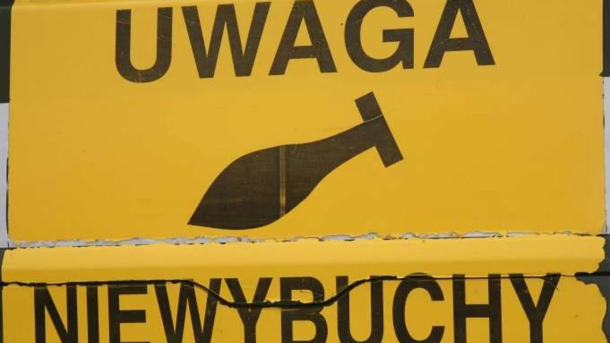 Niebezpieczne odkrycie na zapleczu ul. Piastów w Nowej Rudzie [zdjęcia]