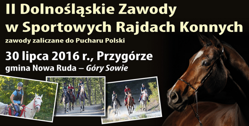 II Dolnośląskie Zawody w Sportowych Rajdach Konnych - Zdjęcie główne