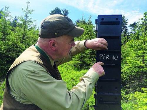 Karwowski zamiast Lenarta  - Zdjęcie główne