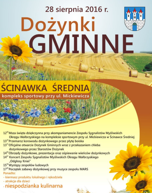 Dożynki gminne - Zdjęcie główne