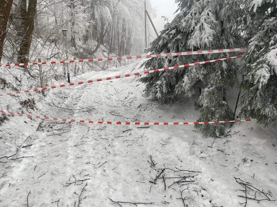 Góry Sowie. Trasy biegowe zamknięte do odwołania - Zdjęcie główne