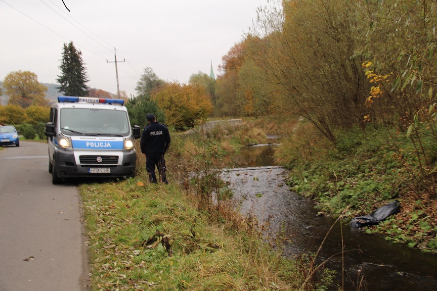 Wypadek, czy morderstwo - Zdjęcie główne