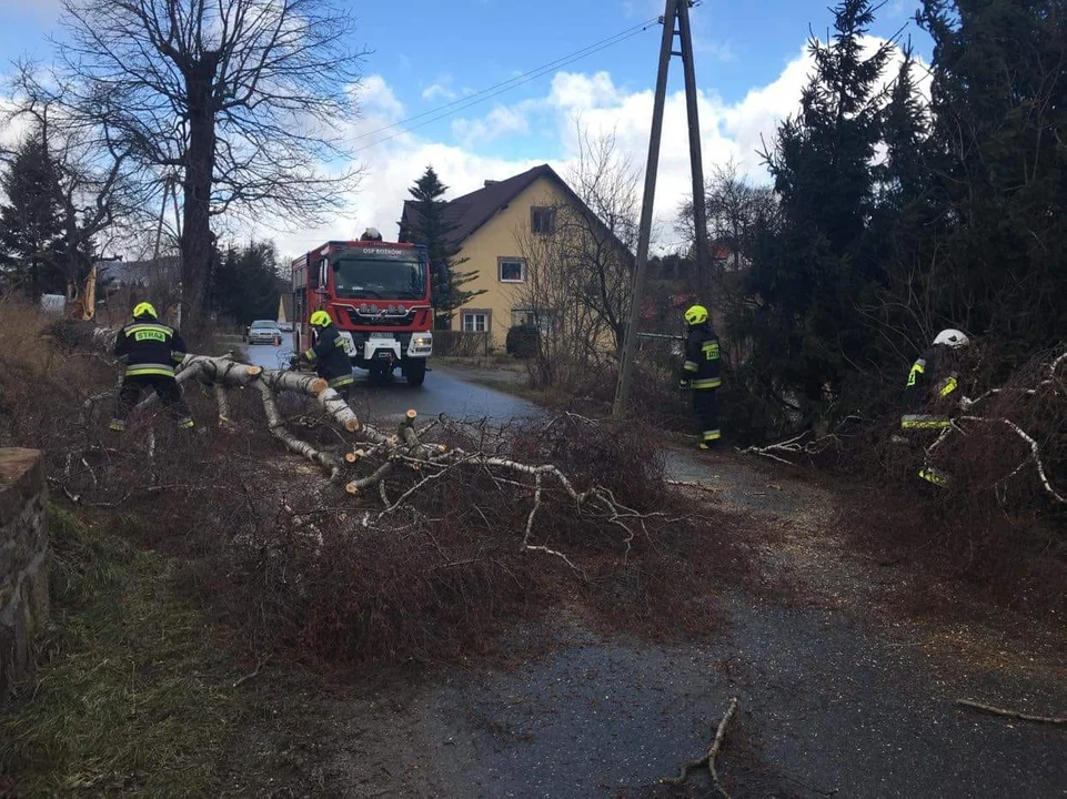 Interwencja miała miejsce około godziny 10.30.