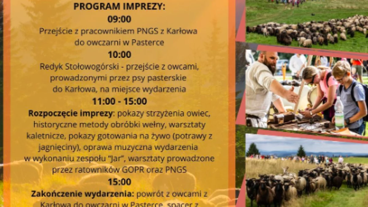 Karłów.  Dowiedz się skąd się bierze wełna - Zdjęcie główne