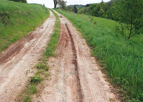 Niszczycielskie quady - Zdjęcie główne