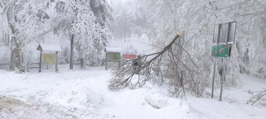 Park Narodowy Gór Stołowych zamknięty dla turystów - Zdjęcie główne