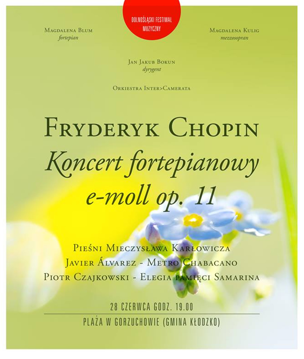 Fryderyk Chopin - Zdjęcie główne