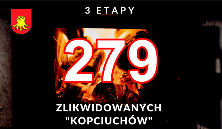 279 kopciuchów mniej - Zdjęcie główne