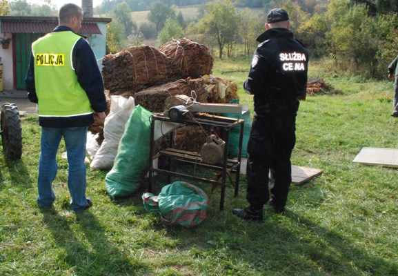 Skonfiskowano blisko ćwierć tony liści tytoniu - Zdjęcie główne