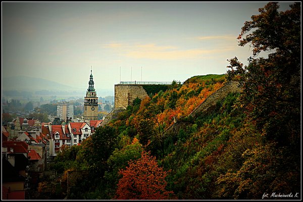 Czekają na wystawców - Zdjęcie główne