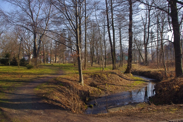 Park nie inwestycyjny - Zdjęcie główne