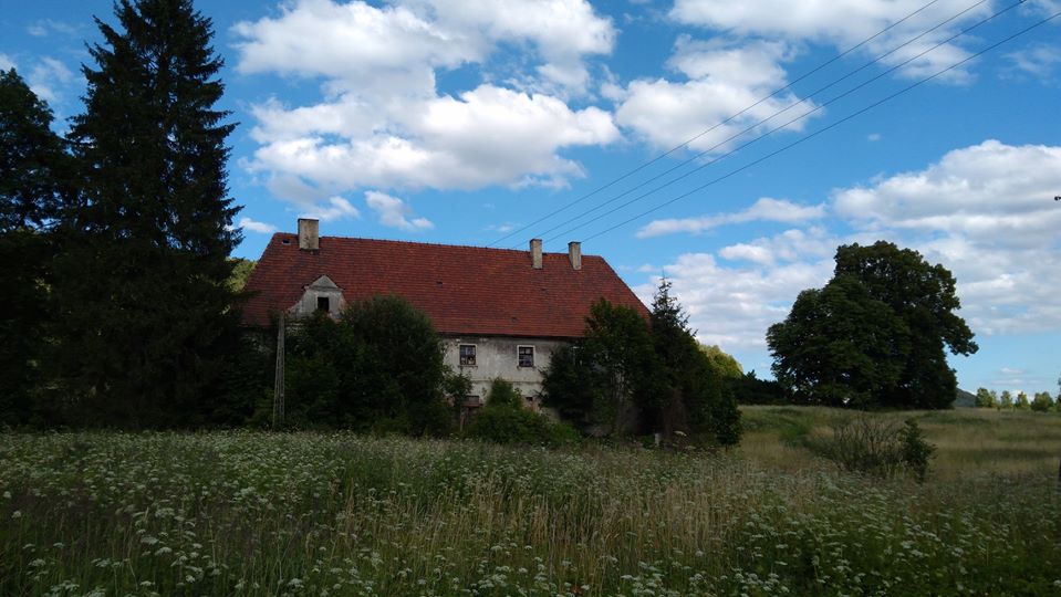 Dwór ma nowego właściciela - Zdjęcie główne