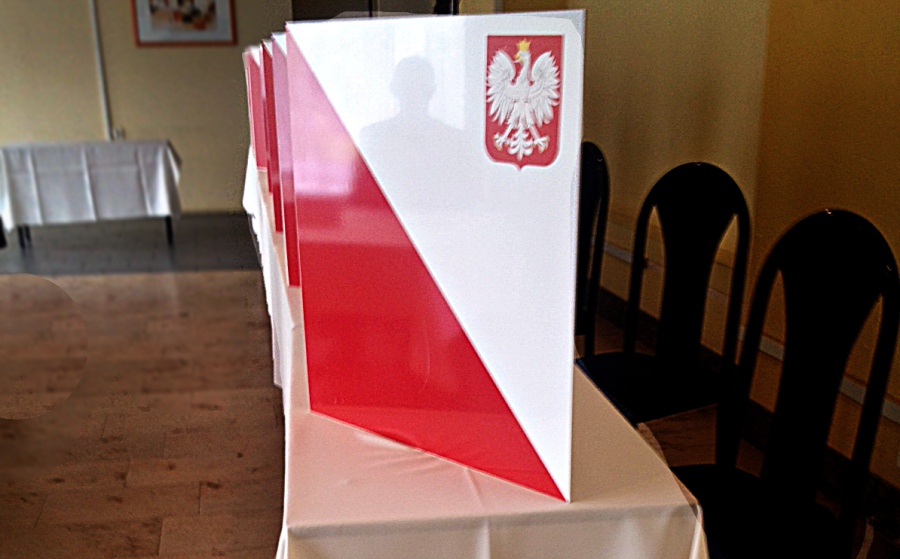 Częściowe wyniki wyborów w Polsce - Zdjęcie główne