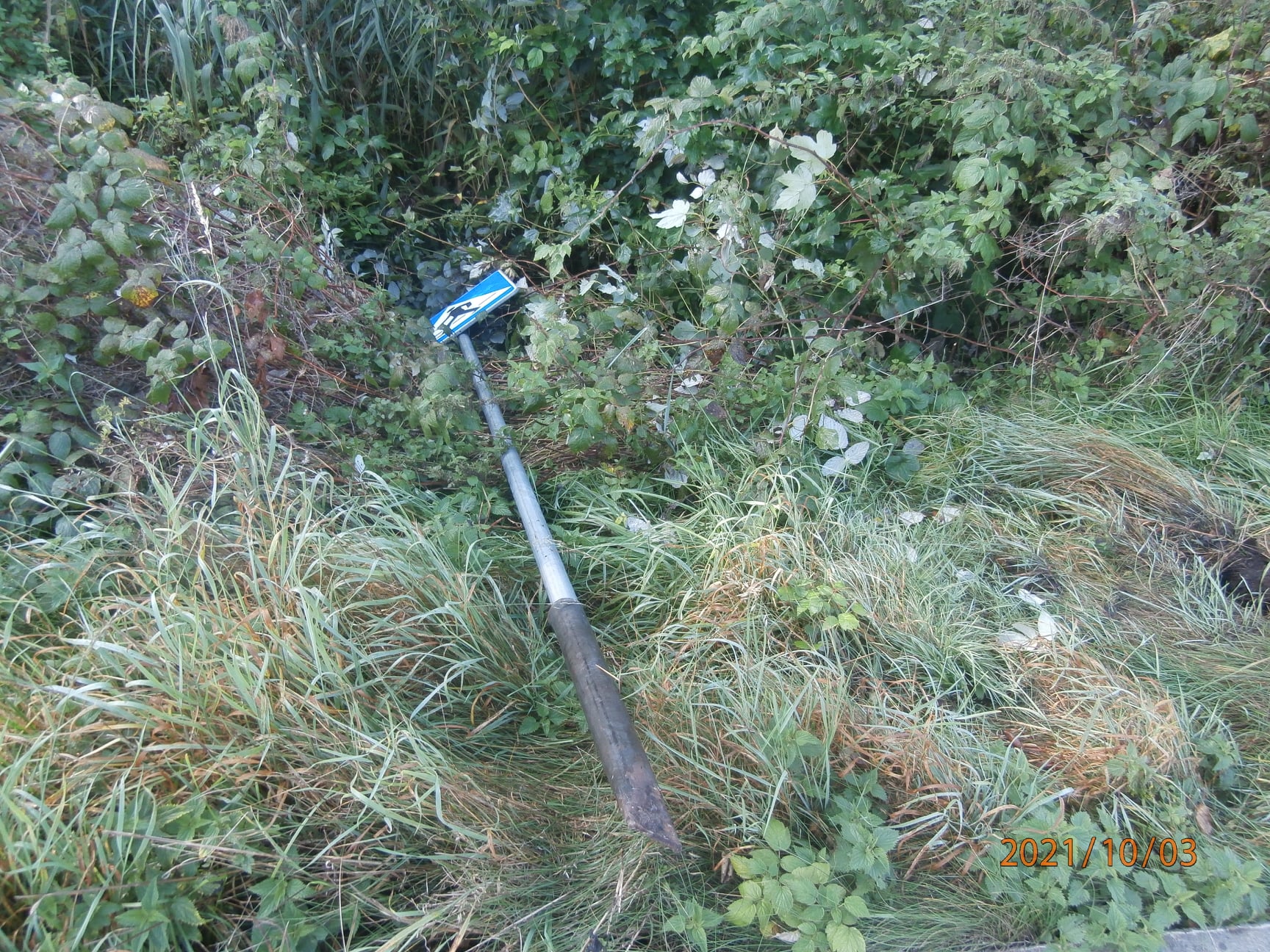 Kolejny wyrwany znak