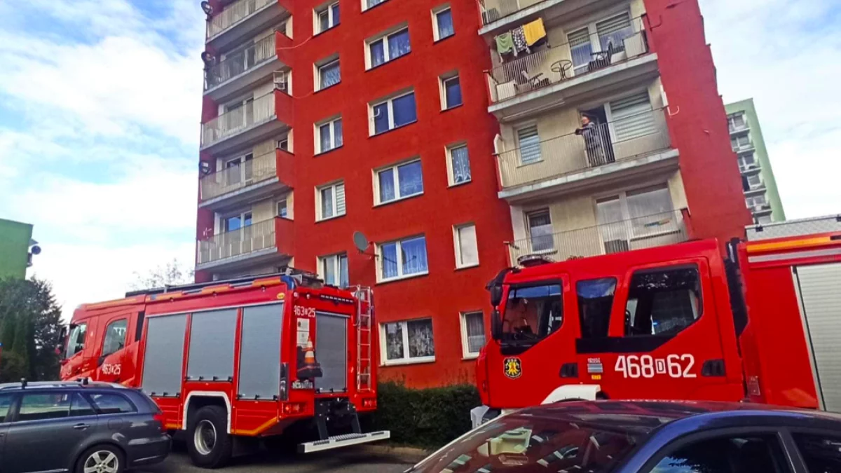 Nowa Ruda. Przypalona potrawa postawiła na nogi trzy zastępy straży pożarnej - Zdjęcie główne