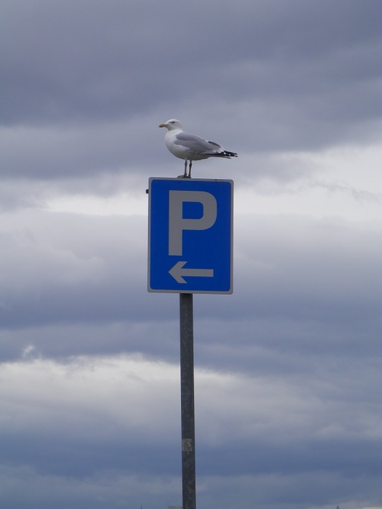 Będzie parking - Zdjęcie główne