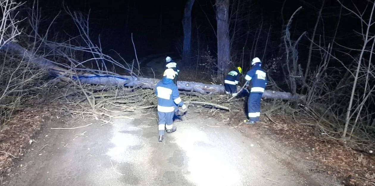 Drzewo spadło na drogę w Koszynie. Wichury nie odpuszczają - Zdjęcie główne