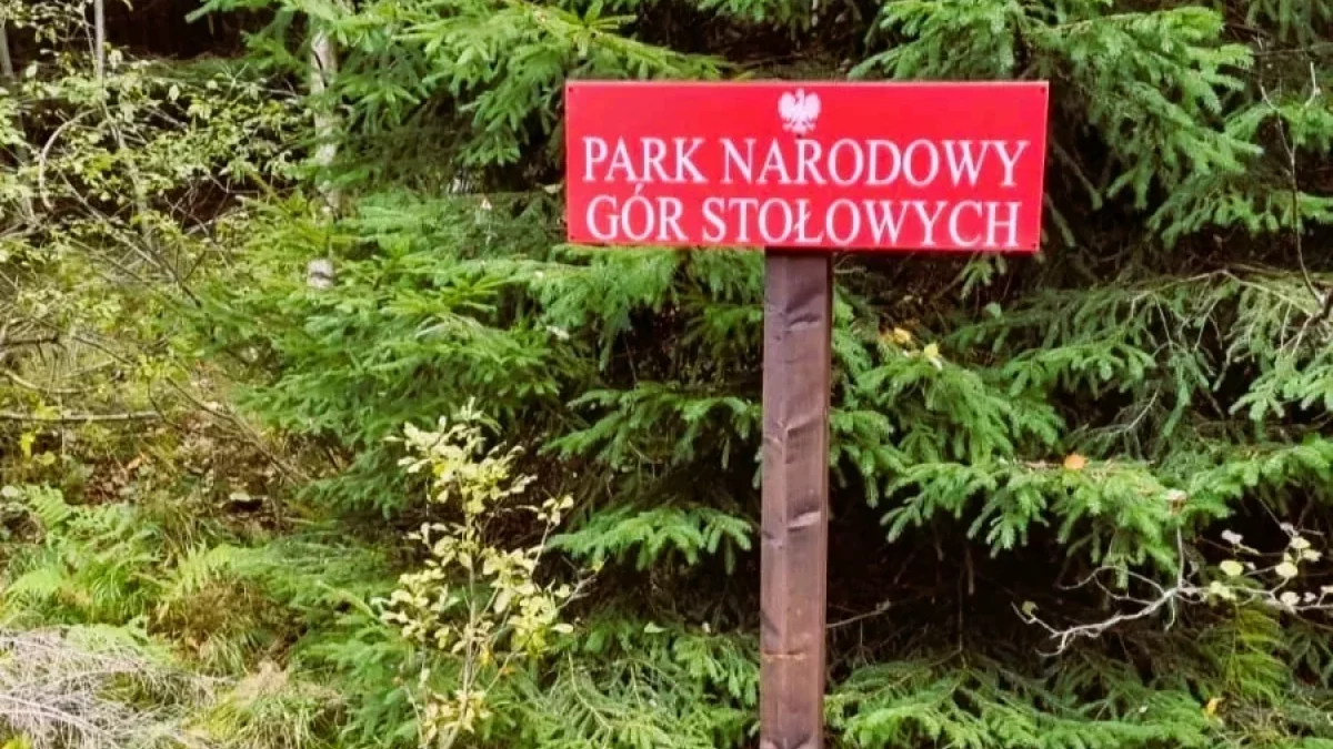 Park Narodowy Gór Stołowych apeluje o wsparcie turystyki po powodzi - Zdjęcie główne