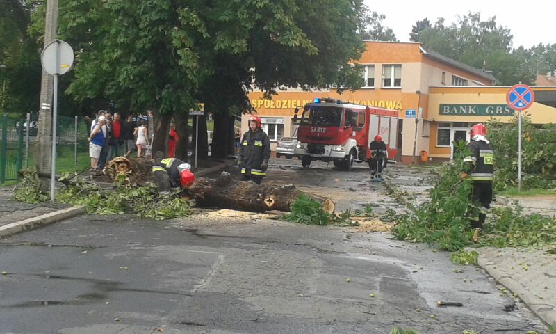 Skutki wichury w Nowej Rudzie - Zdjęcie główne