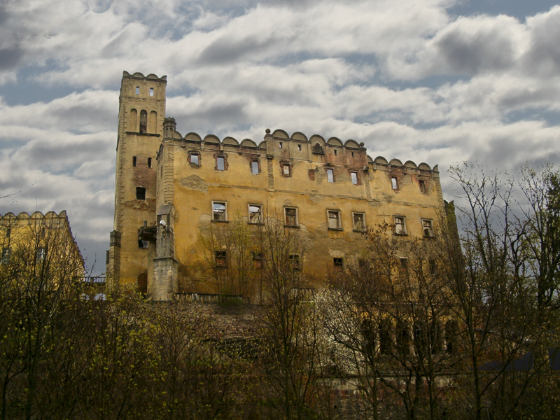 Zrujnował Pałac - Zdjęcie główne