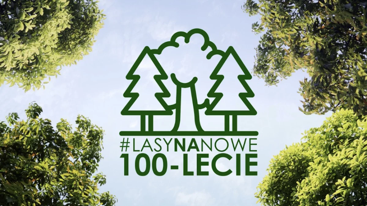 Nadleśnictwo Jugów zaprasza na wspólne sadzenie lasu pod hasłem "Lasy na nowe 100-lecie" - Zdjęcie główne