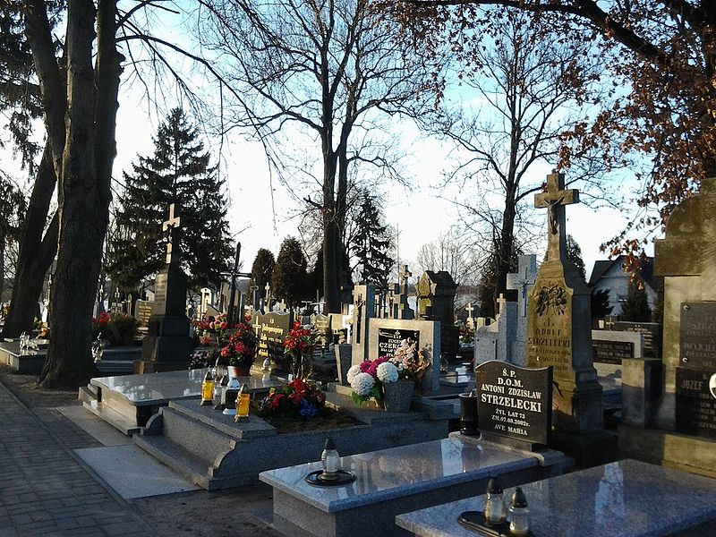 Cmentarz pęka w szwach - Zdjęcie główne