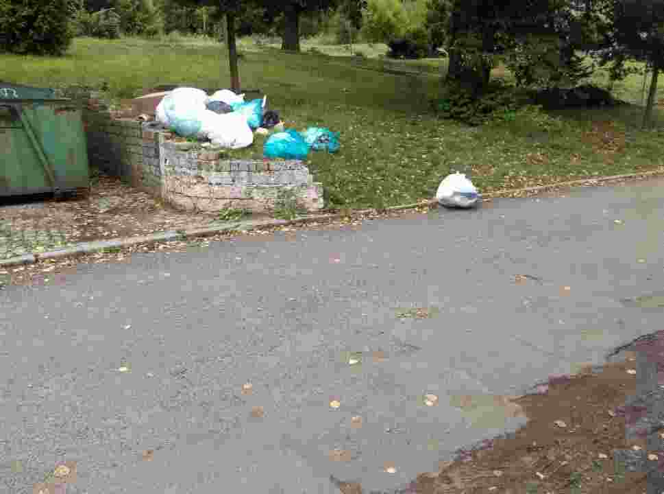 Odpady ze szpitala bez zabezpieczenia  - Zdjęcie główne