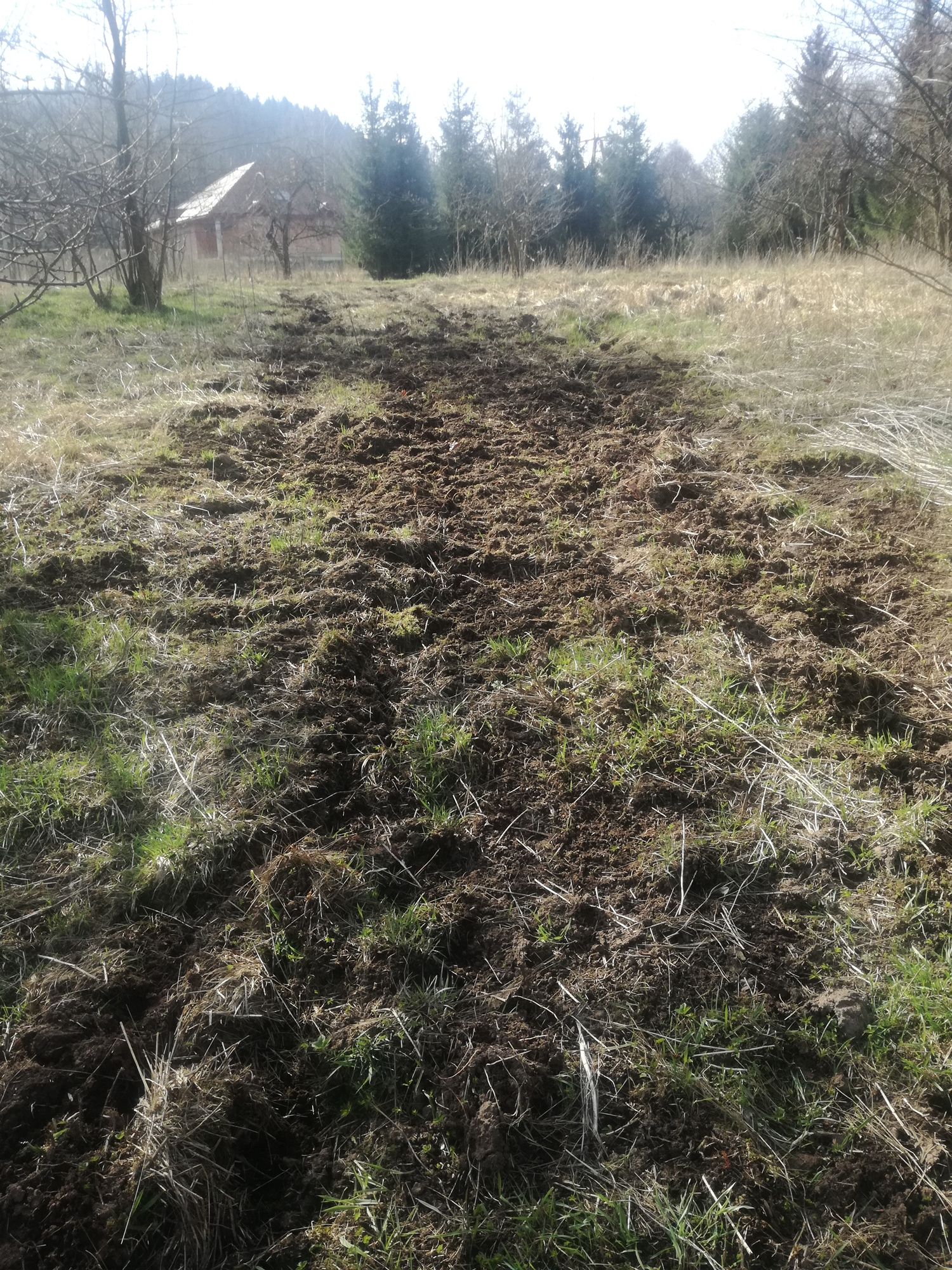 Naprawią, co zniszczyli - Zdjęcie główne