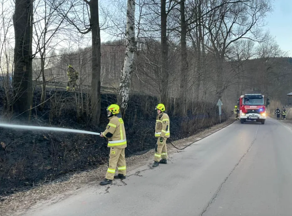 Pożary traw w Słupcu i Ścinawce - Zdjęcie główne