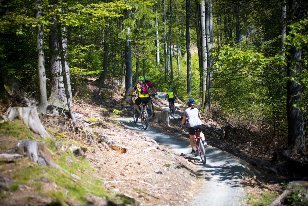 Bystrzyca Kłodzka: Utrudnienia na singletracku - Zdjęcie główne