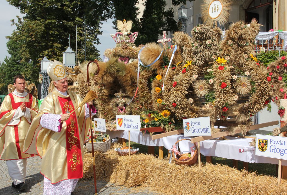 Dożynki wojewódzkie - Zdjęcie główne