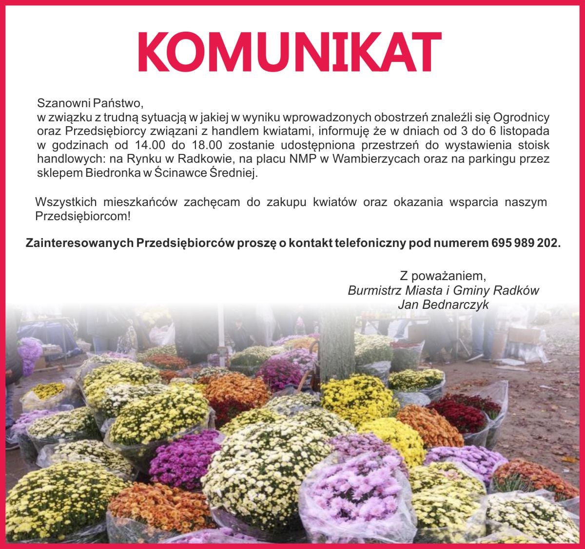 W gminie Radków sprzedaż chryzantemy - Zdjęcie główne
