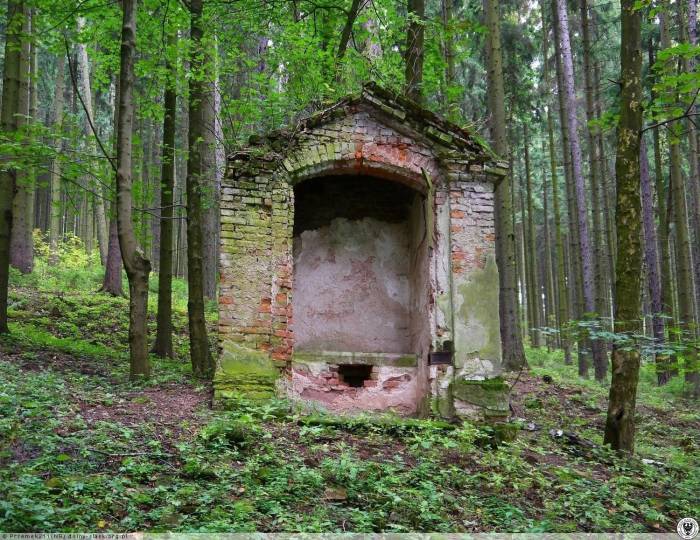 500 osób zmarło w Radkowie - Zdjęcie główne