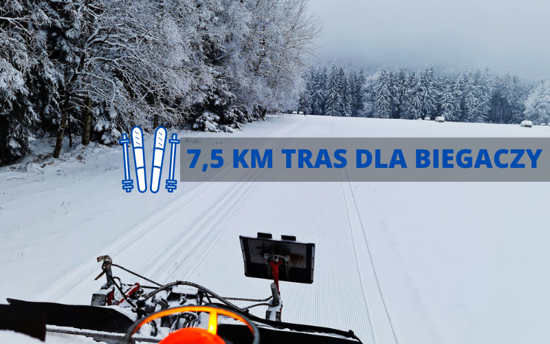 Radków: W Karłowie powstały 2 trasy narciarstwa biegowego - Zdjęcie główne