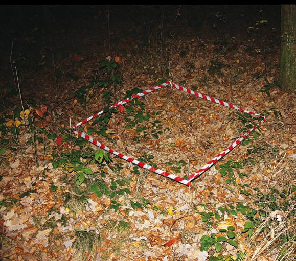 Śmierć na grzybach - Zdjęcie główne