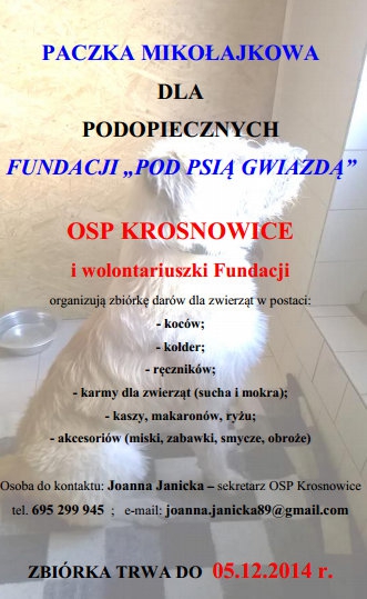 Fundacja pod Psią Gwiazdą - Zdjęcie główne