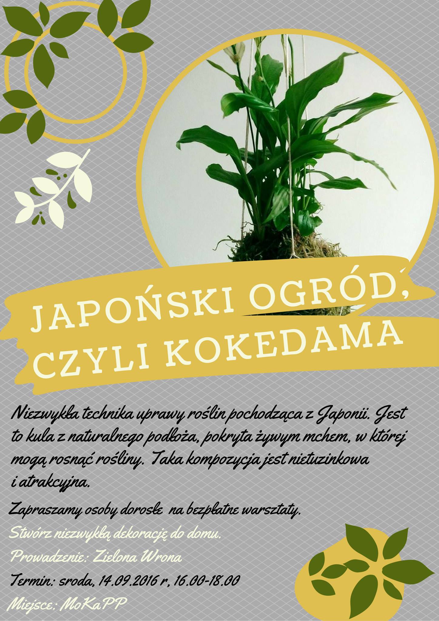 Japoński ogród, czyli kokedama  - Zdjęcie główne