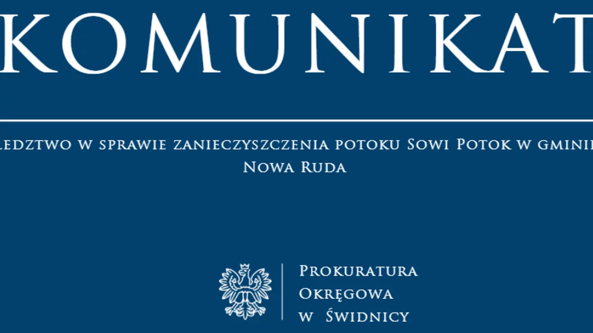 Gmina Nowa Ruda. Śledztwo w sprawie śnięcia ok. 250 kg ryb i zanieczyszczenia Sowiego Potoku