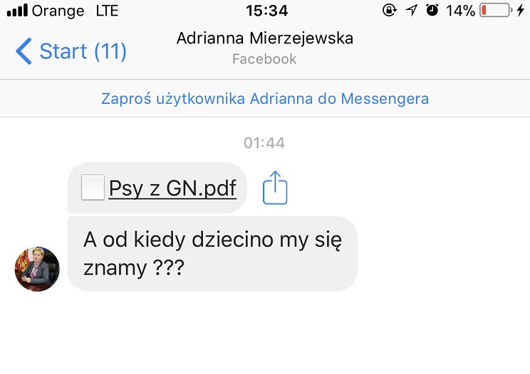 Dziecinna pani wójt - Zdjęcie główne