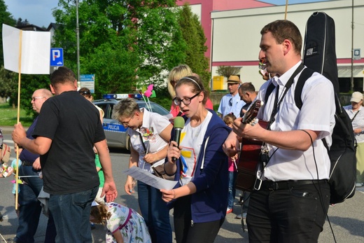 Marsz dla Życia i Rodziny - Zdjęcie główne