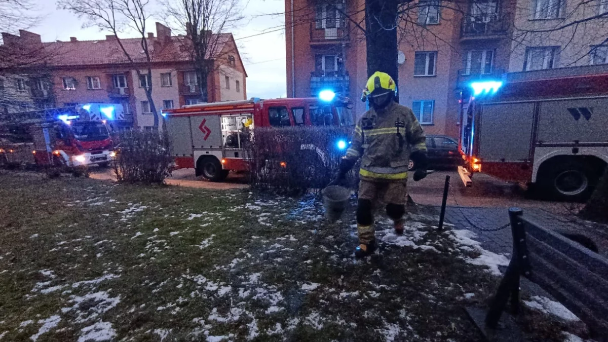 Nowa Ruda. Zadymienie w budynku wielorodzinnym przy ulicy Akacjowej - Zdjęcie główne