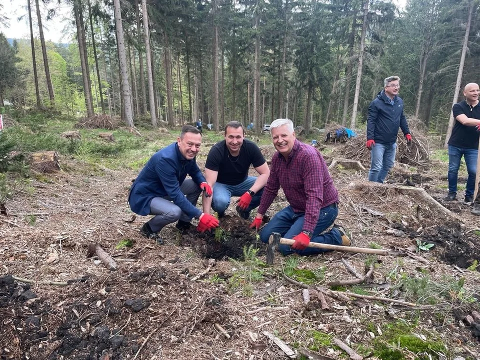 Nadleśnictwo Jugów: Druga edycja akcji „Łączą nas drzewa”