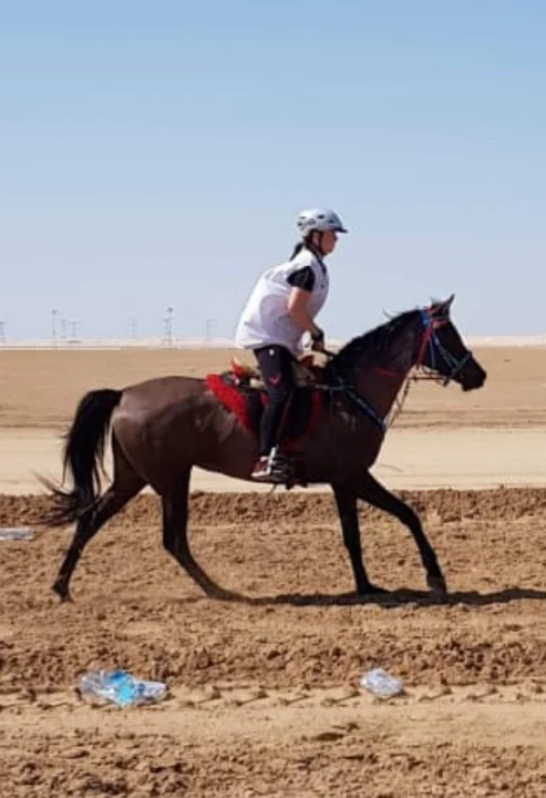 Nowa Ruda. Natalia Palczak będzie reprezentowała Polskę na Mistrzostwach Świata w jeździe konnej - Zdjęcie główne