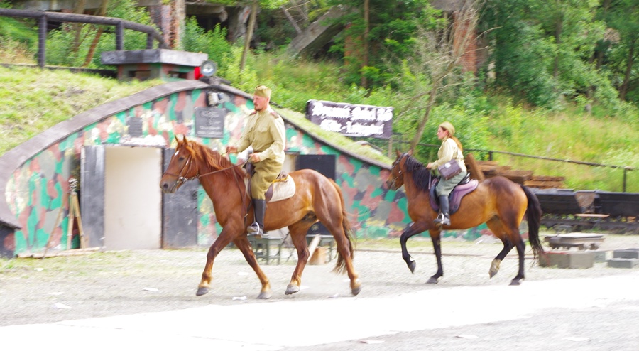 GALERIA: Piknik Militarny cz. 2 - Zdjęcie główne