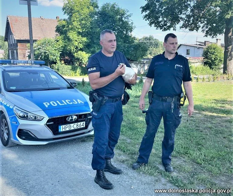 Gmina Nowa Ruda. Policjanci uratowali małego bociana - Zdjęcie główne