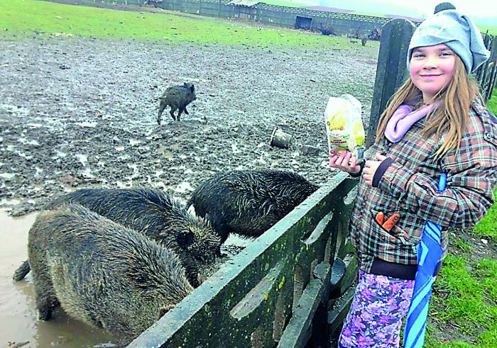 Niech skansen przetrwa - Zdjęcie główne