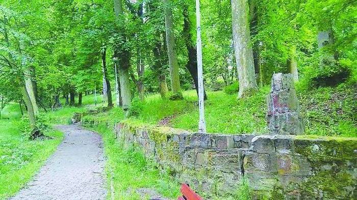 Będzie jak za dawnych lat - Zdjęcie główne